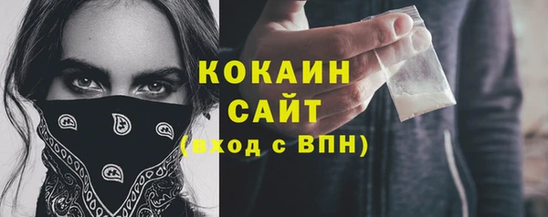ПСИЛОЦИБИНОВЫЕ ГРИБЫ Верхний Тагил