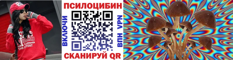 наркошоп  Талица  Галлюциногенные грибы Psilocybe 